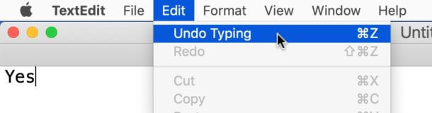 undo on Mac using edit menu