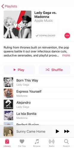 Three Dots - How to Delete A Playlist on iPhone