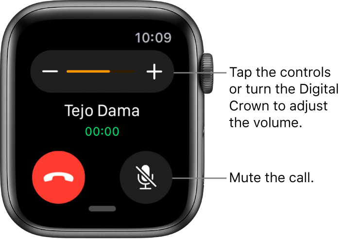 Mute - Answer Calls on Apple Watch