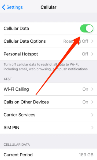 Turn On cellular data on iPhone 8