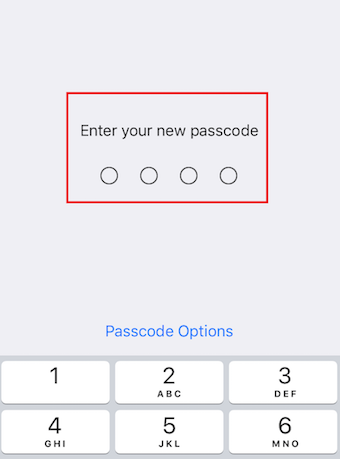 Enter your  new passcode