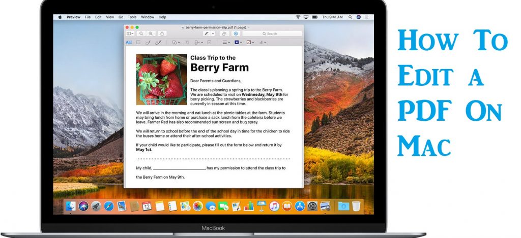 How To Edit a PDF On Mac