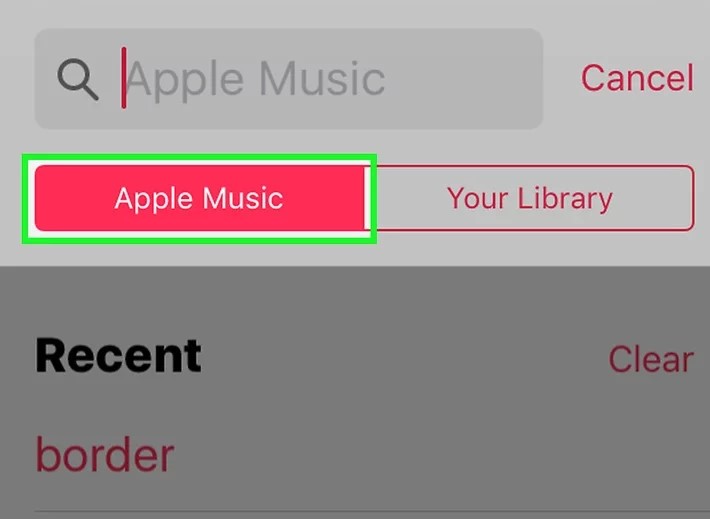Search for the music that you want to add on iPhone.