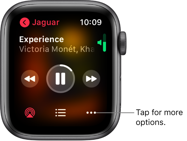 select the options to play music on your Apple Watch.