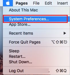 Select System Preference.