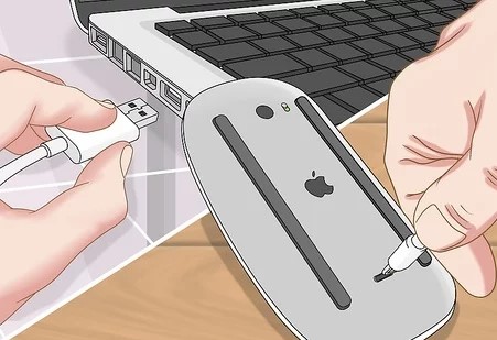 Connect your Mouse to Mac with a lighting USB cable.