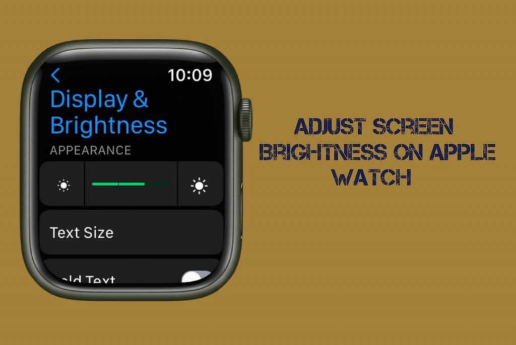 Adjust Screen Brightness on Apple Watch