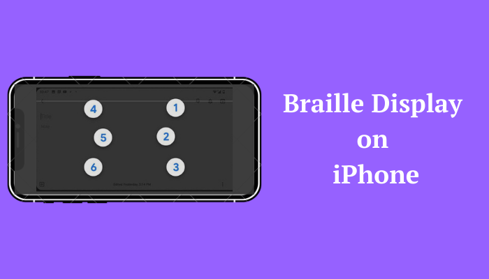 Braille Display on iPhone