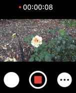 tap the red icon to record video
