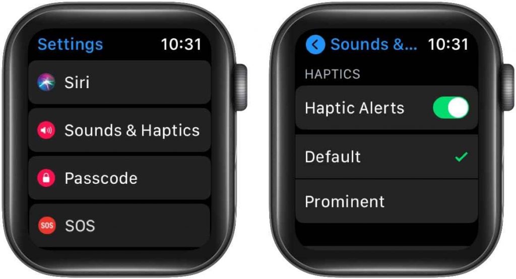 Enable Haptic Alerts to make Taptic Time work properly