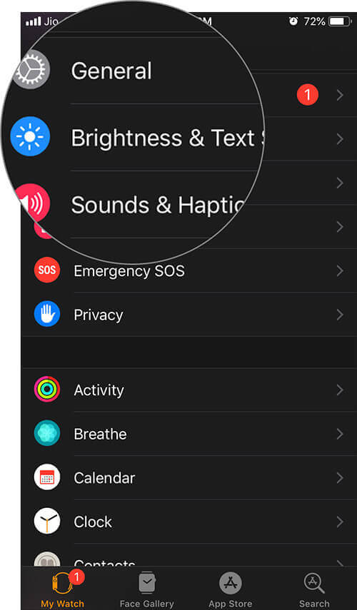 go to brightness & text on your apple watch 