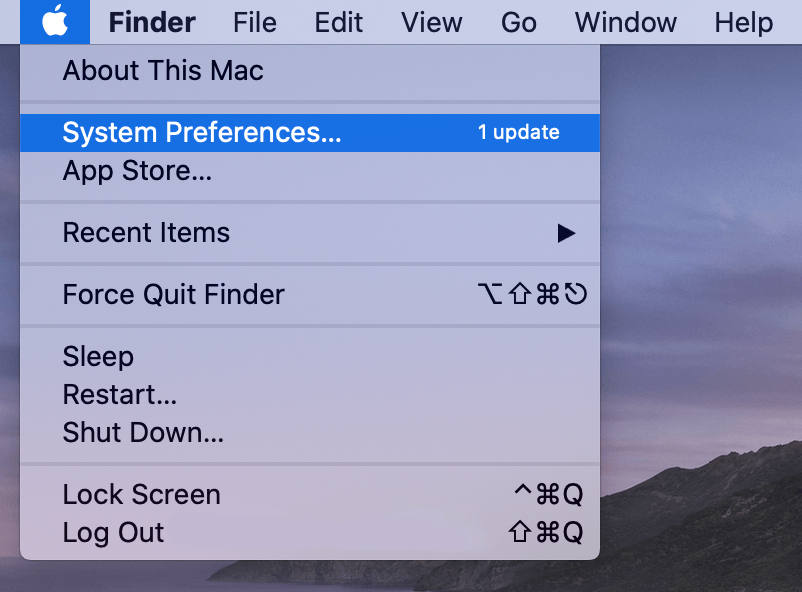 tap on the option System Preferences