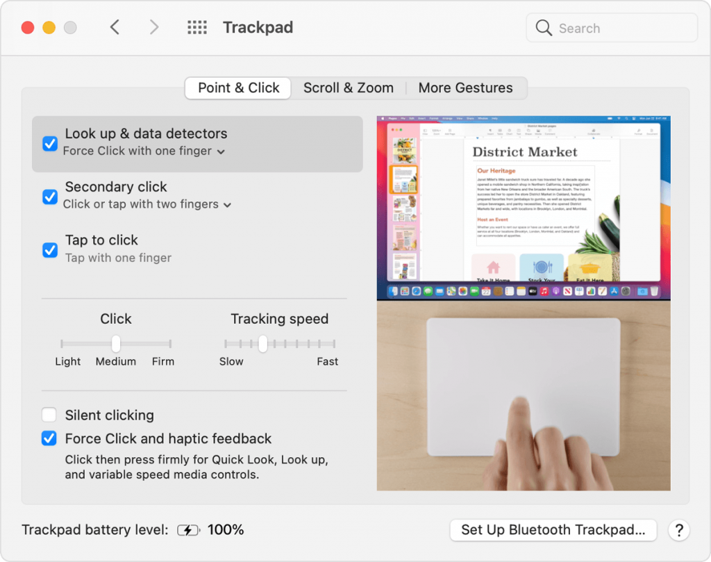 tap the tabs and customize trackpad settings