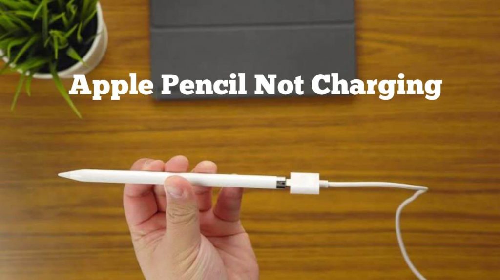 apple pencil not working