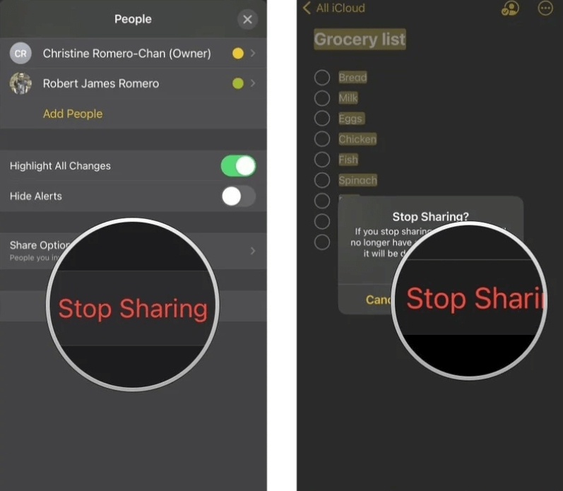 tap stop sharing to stop the sharing to others
