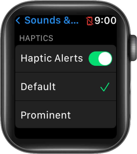 enable haptic alerts to mute apple watch