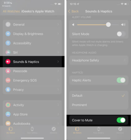 enable hover to mute option to mute apple watch
