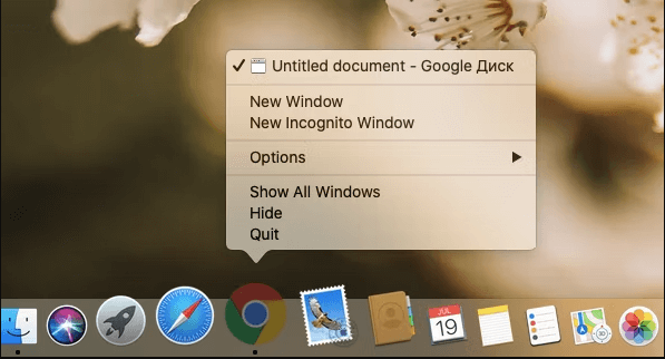 Click on the Chrome icon in the Dock and then tap the Quit 